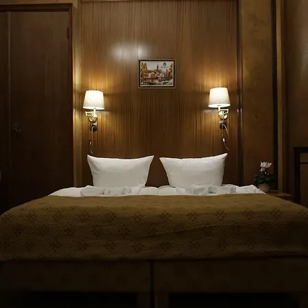 Aster An Der Messe Hotel 3*