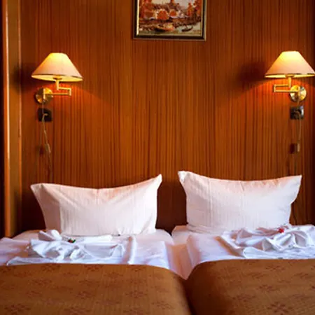 Aster An Der Messe Hotel 3*